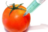 Cautions about GMO Foods Have Come Under Question